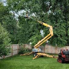 Best Tree Risk Assessment  in Dove Valley, CO