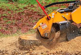 Dove Valley, CO Tree Removal Company